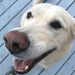 Meet your Posher, Katrina